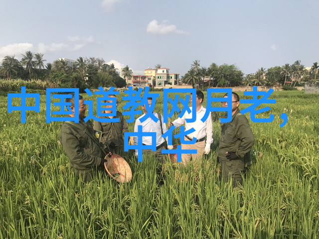 四古本老子研究渐趋深入