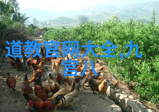周君儒食不求饱 居不求安的王信安道长