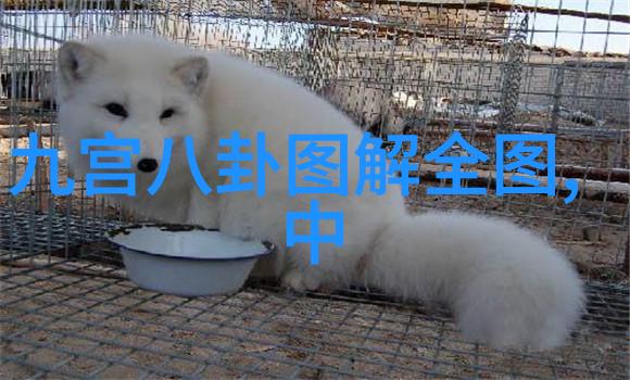 沙棘大漠中的生命之王